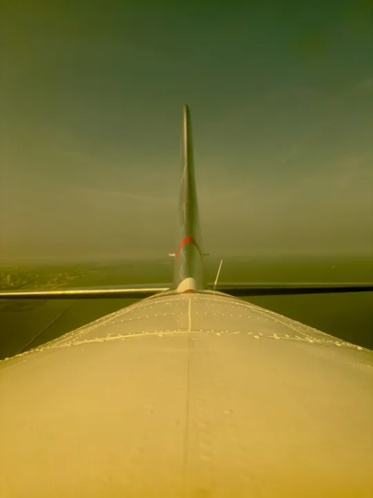Looking back toward the tail