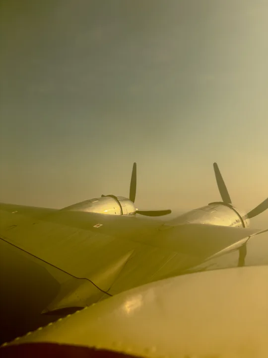 A view of the tail and stabilizer